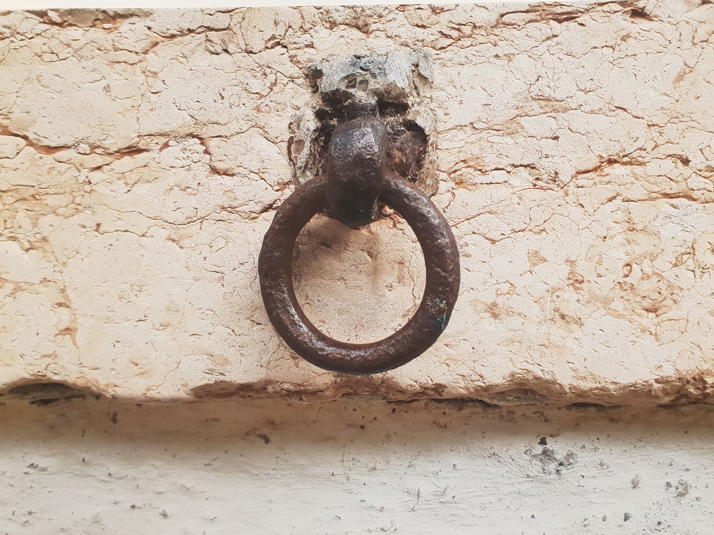 Bilddetail | © Eva von Schilgen