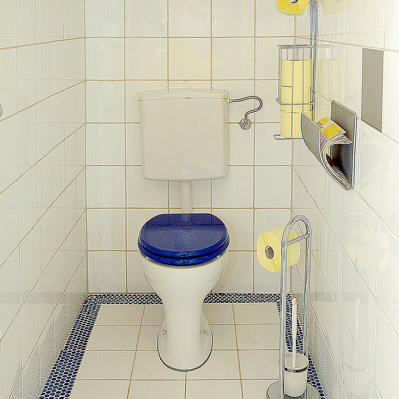 toilet