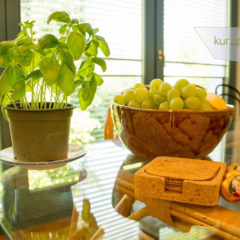 Still life on the glass table