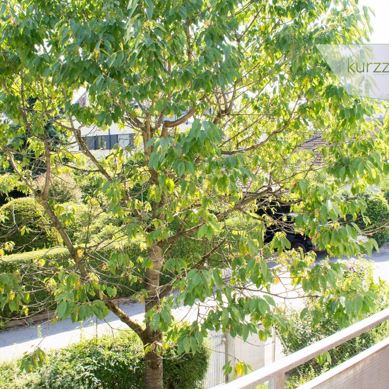 Sieht from the balcony