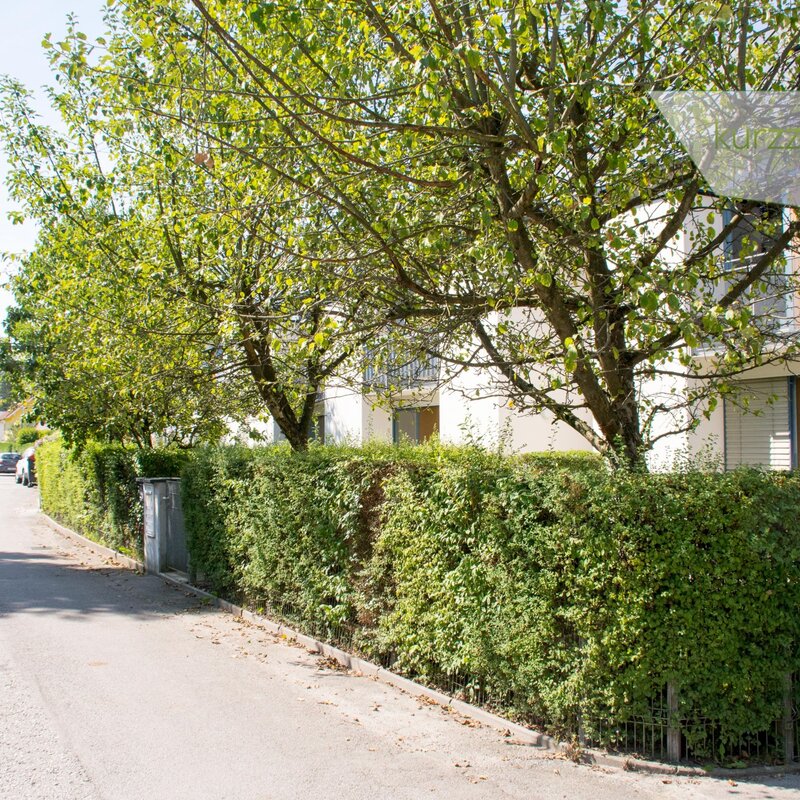 Ruhige Spielstraße vorm Haus