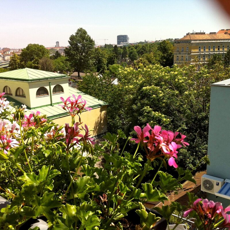 from one of our flats you have this view | © lausecker