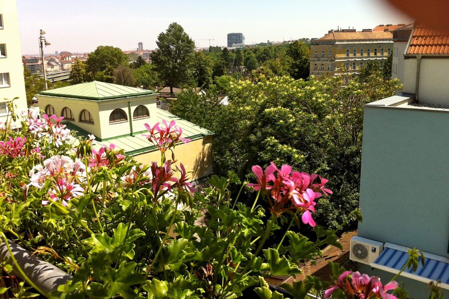 from one of our flats you have this view | © lausecker