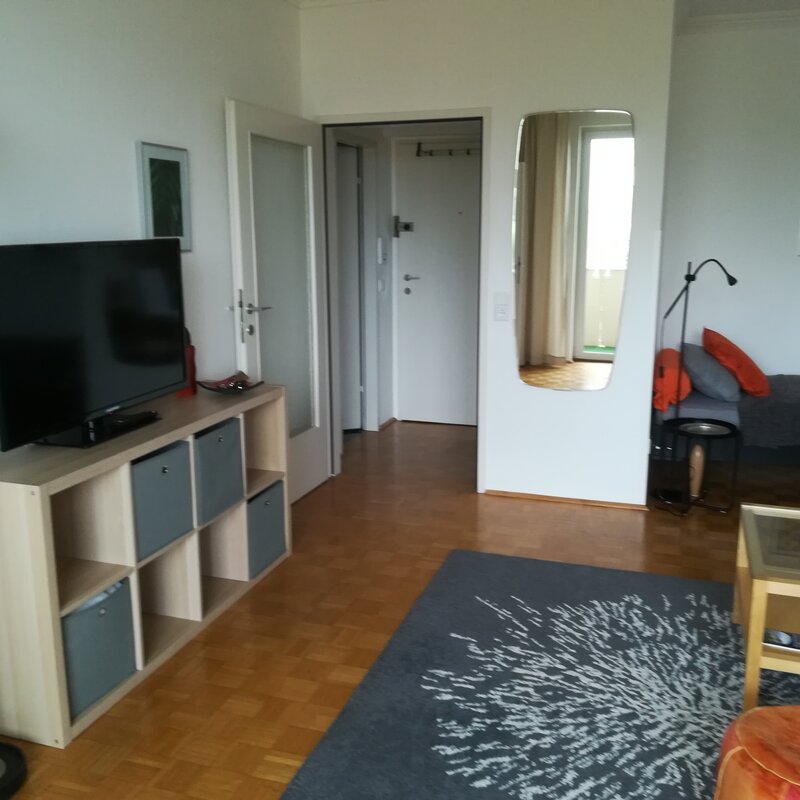 Wohnraum, Blick zur Schlafnische mit Bett 120x200, Anrichte mit TV, Blick zum Eingang