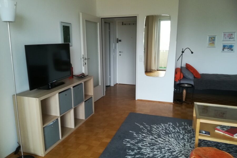 Wohnraum, Blick zur Schlafnische mit Bett 120x200, Anrichte mit TV, Blick zum Eingang