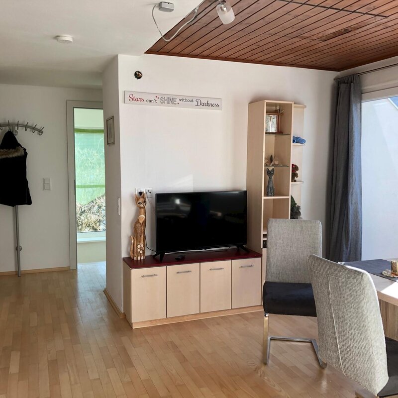 the center of the apartment is an open dining-kitchen area form which all other rooms branch off