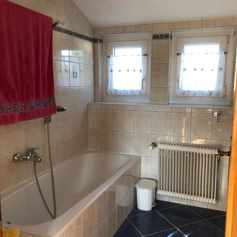 bathroom with windows, equipped with bathtub and shower