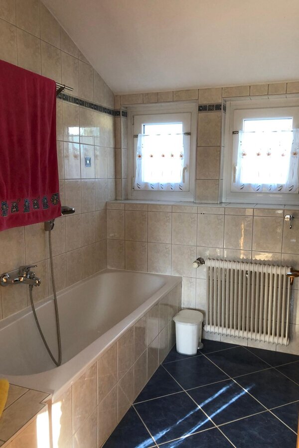 bathroom with windows, equipped with bathtub and shower