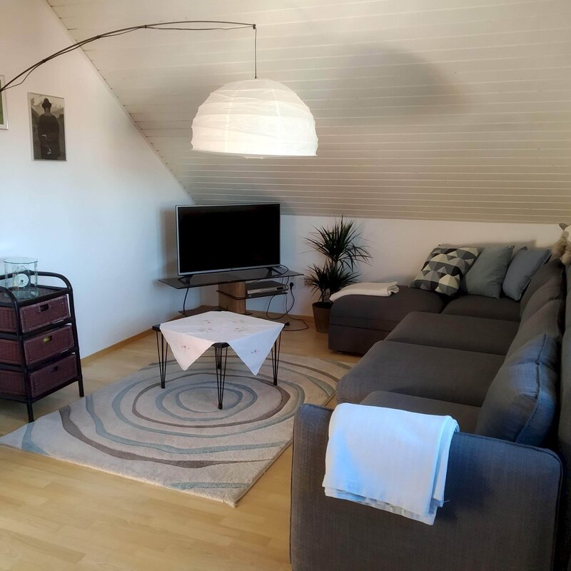 large living room with pul-out couch and additional sleeping alcove