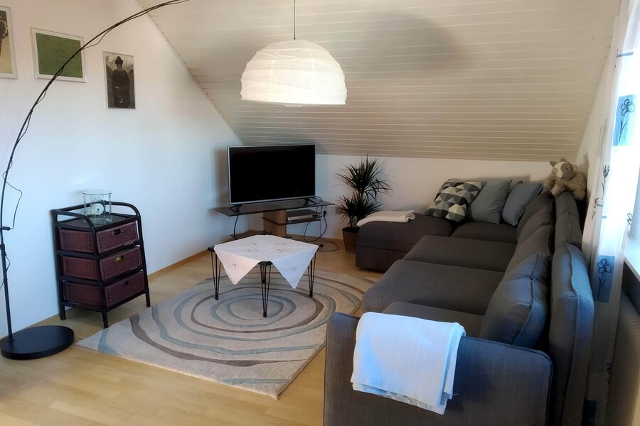 large living room with pul-out couch and additional sleeping alcove