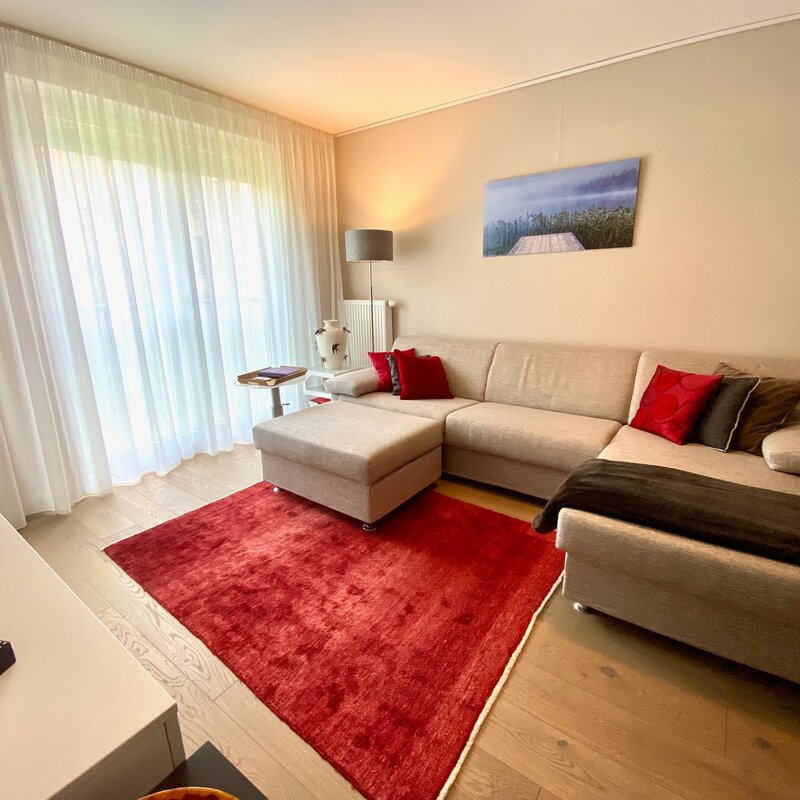 TV with great Sound System, Couch that converts to a Double Bed | © Richard Nikolaus