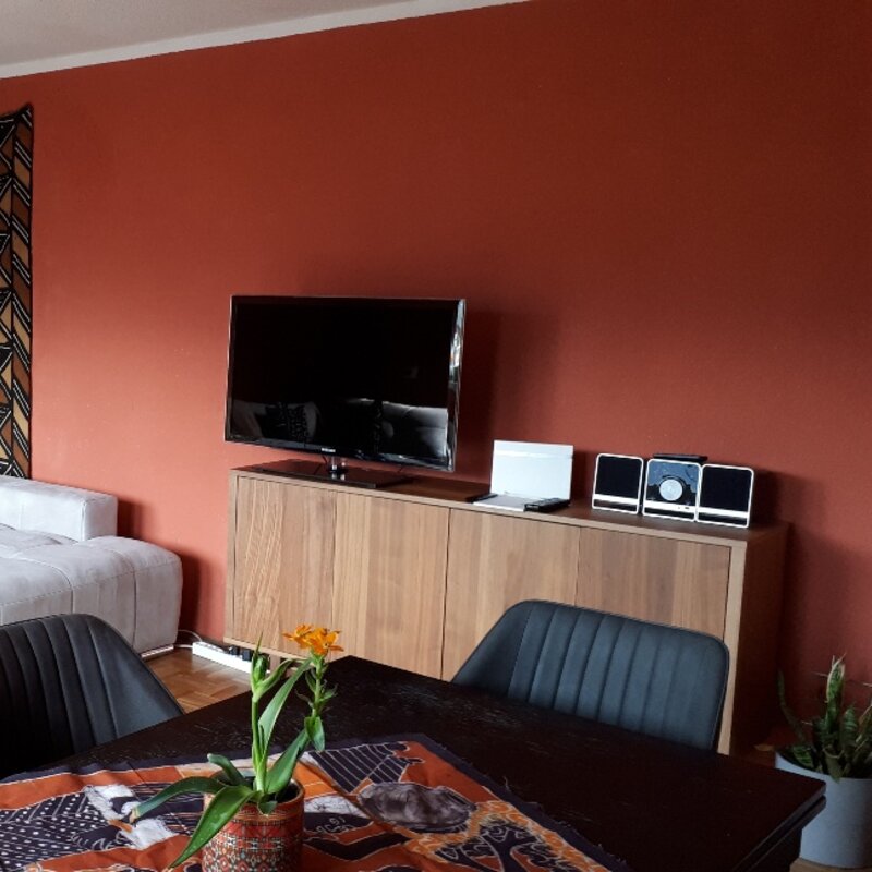 Flatscreen / WLAN