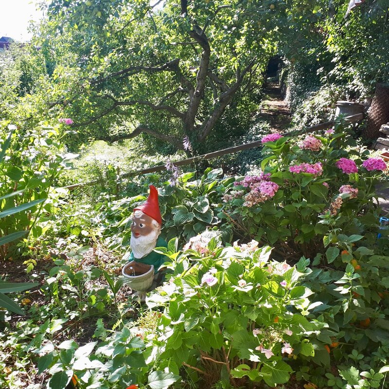 Summertime in the garden