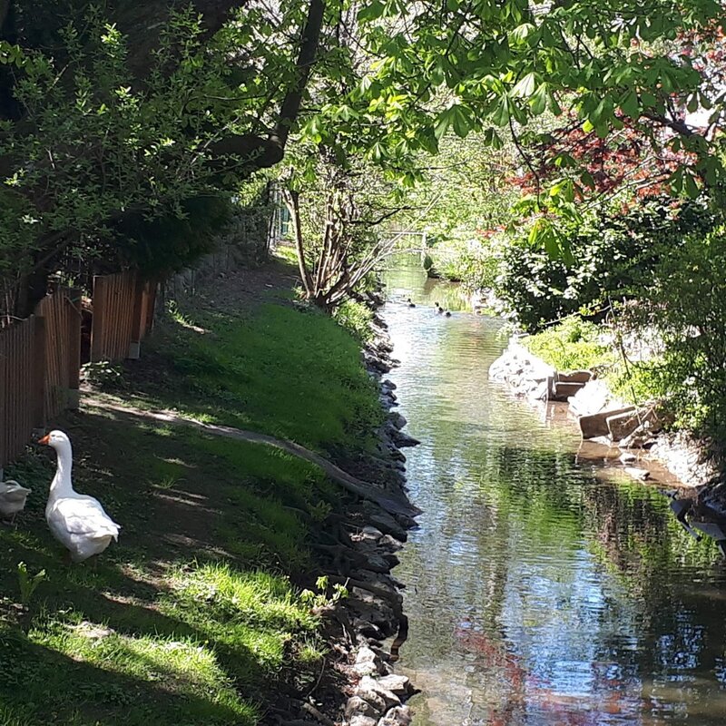 Lohbach near the house
