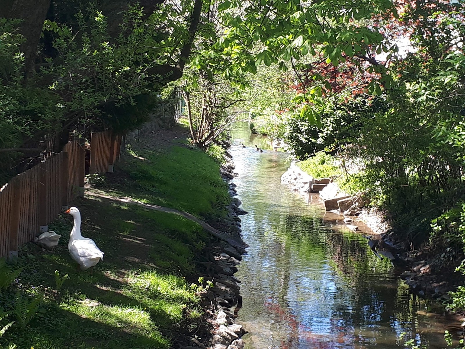 Lohbach near the house