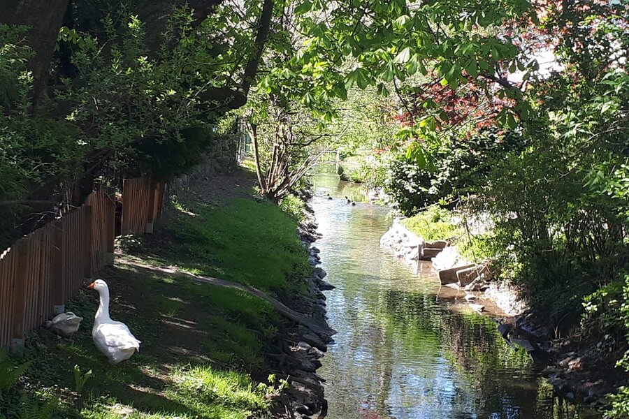 Lohbach near the house