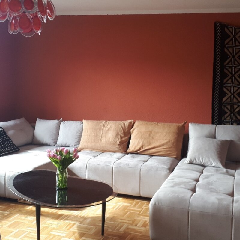 Pull-out sofa for chilling