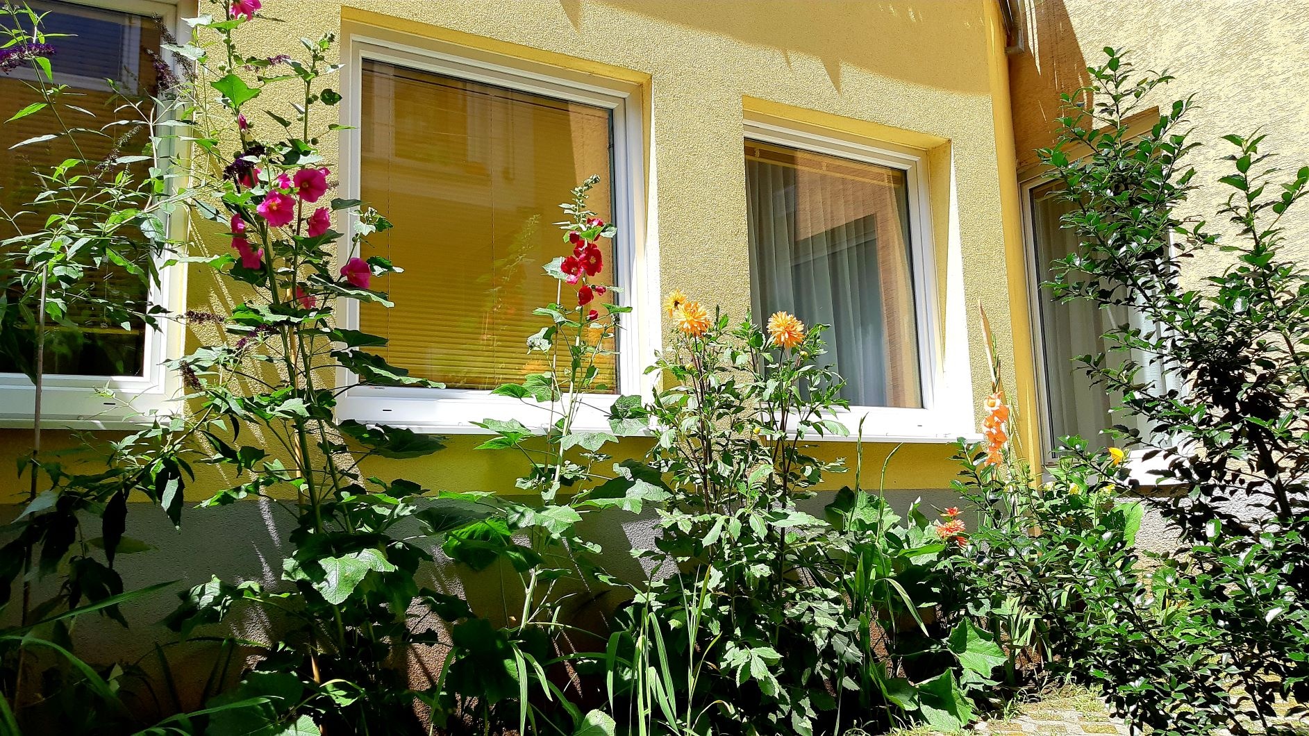 Green patio