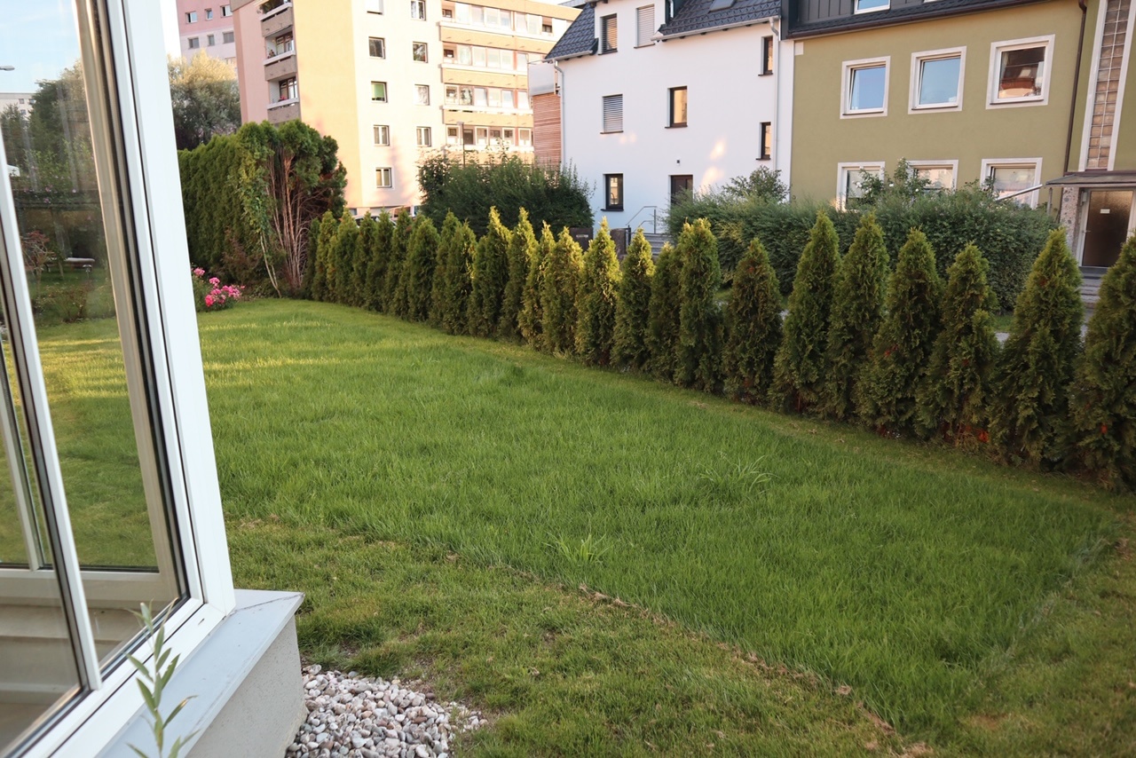 garden