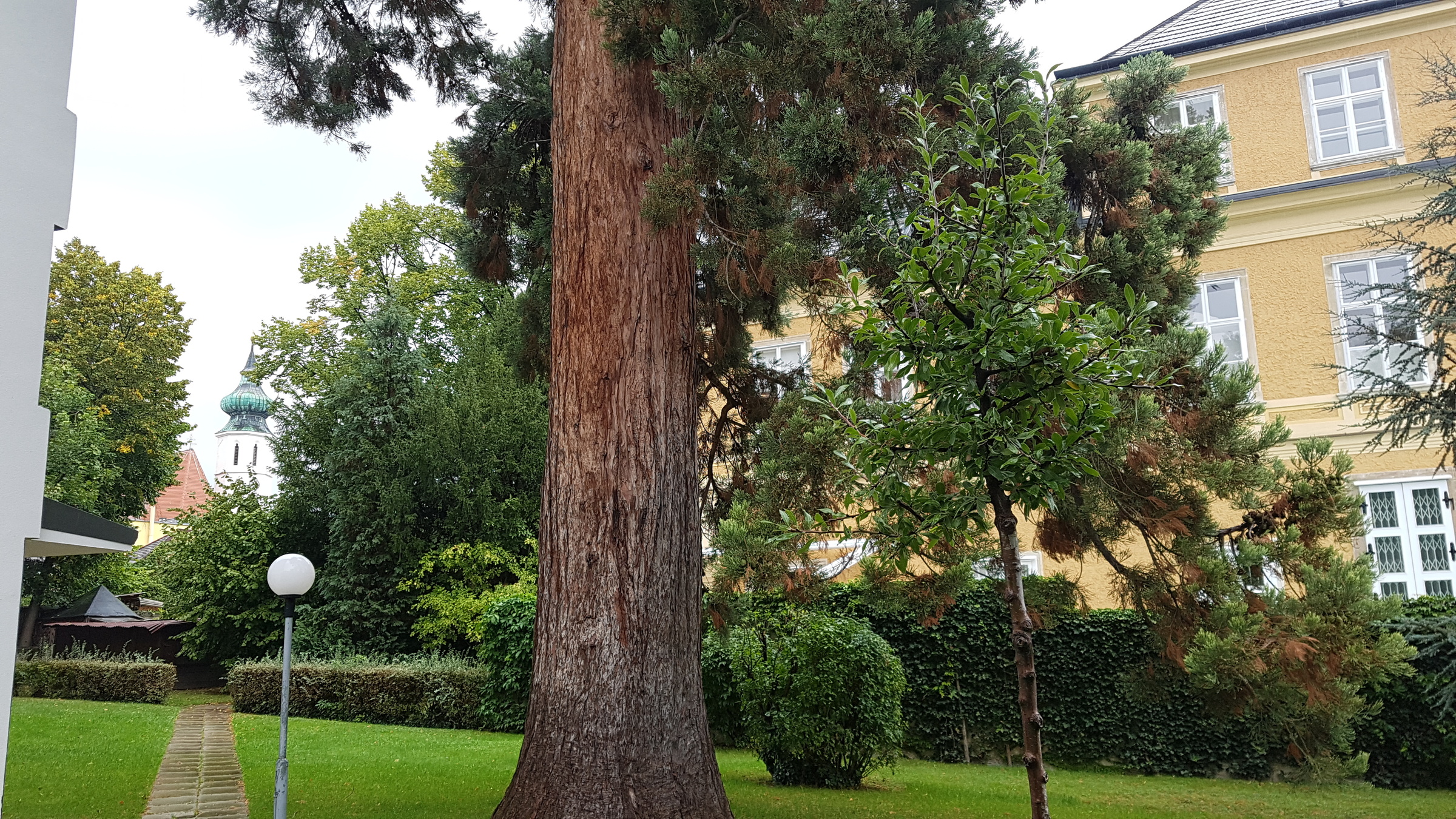 alte Bäume | © Martin Sigmund