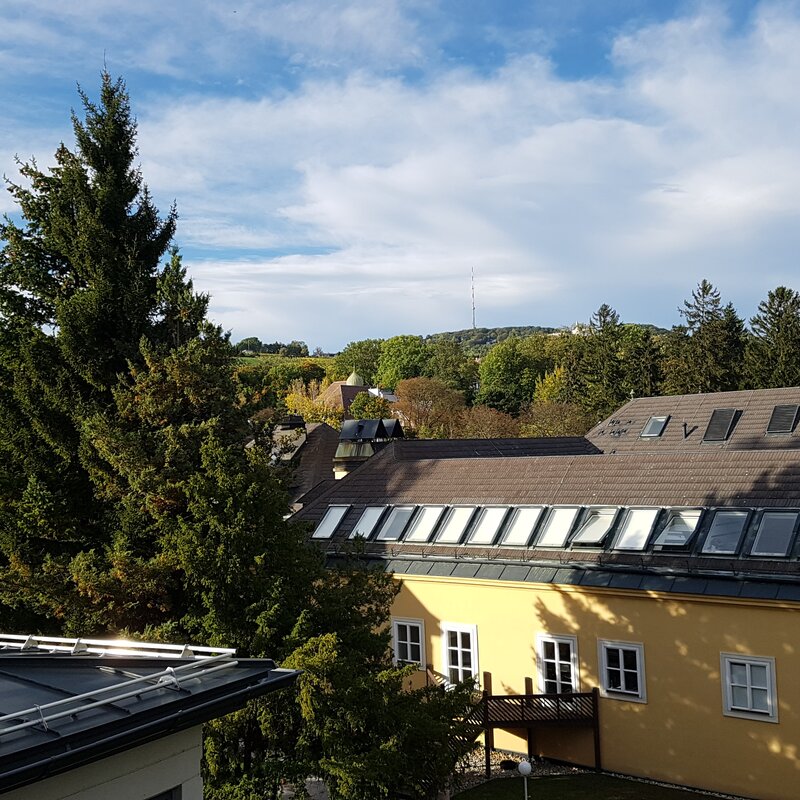 Blick vom Schreibtisch | © Martin Sigmund