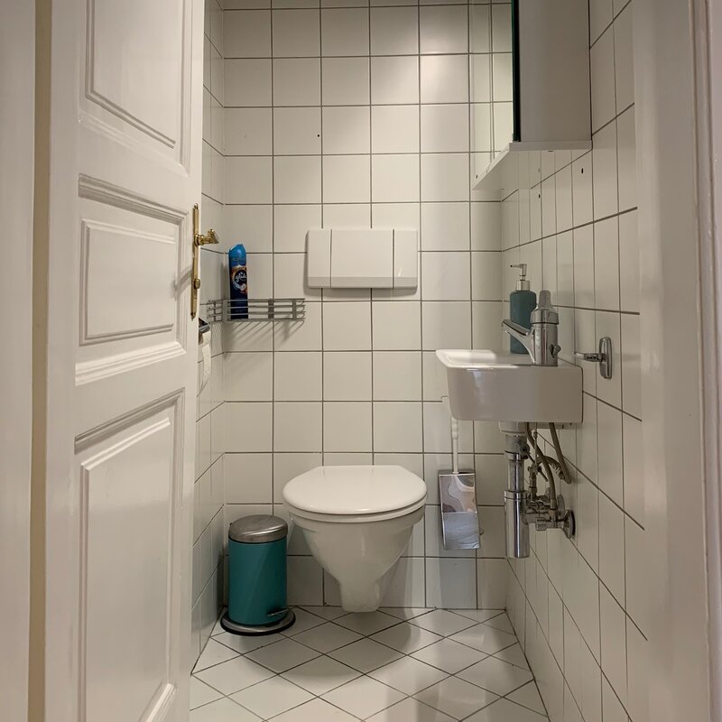 The toilet