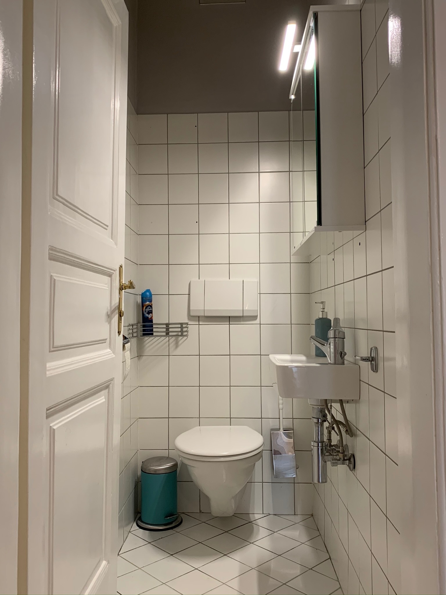 The toilet