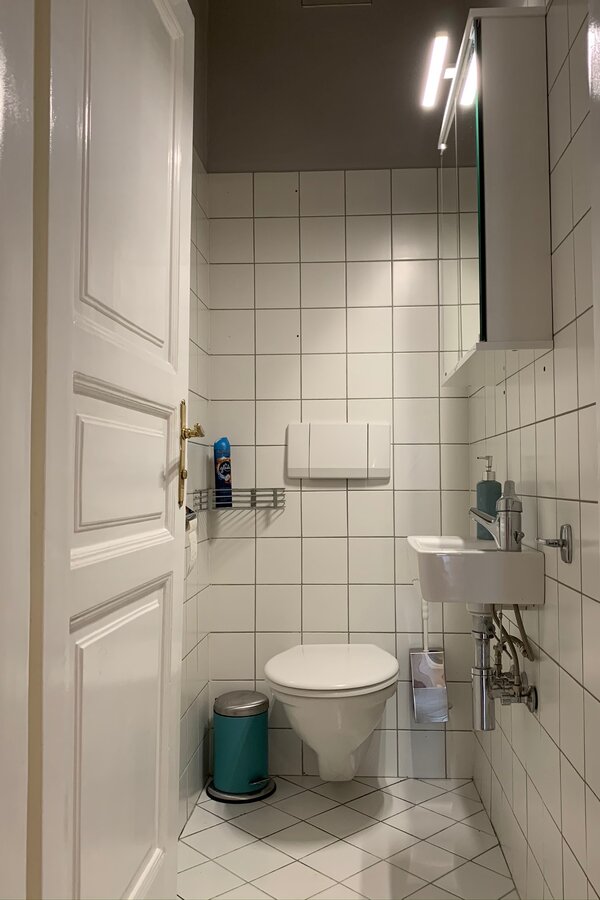 The toilet