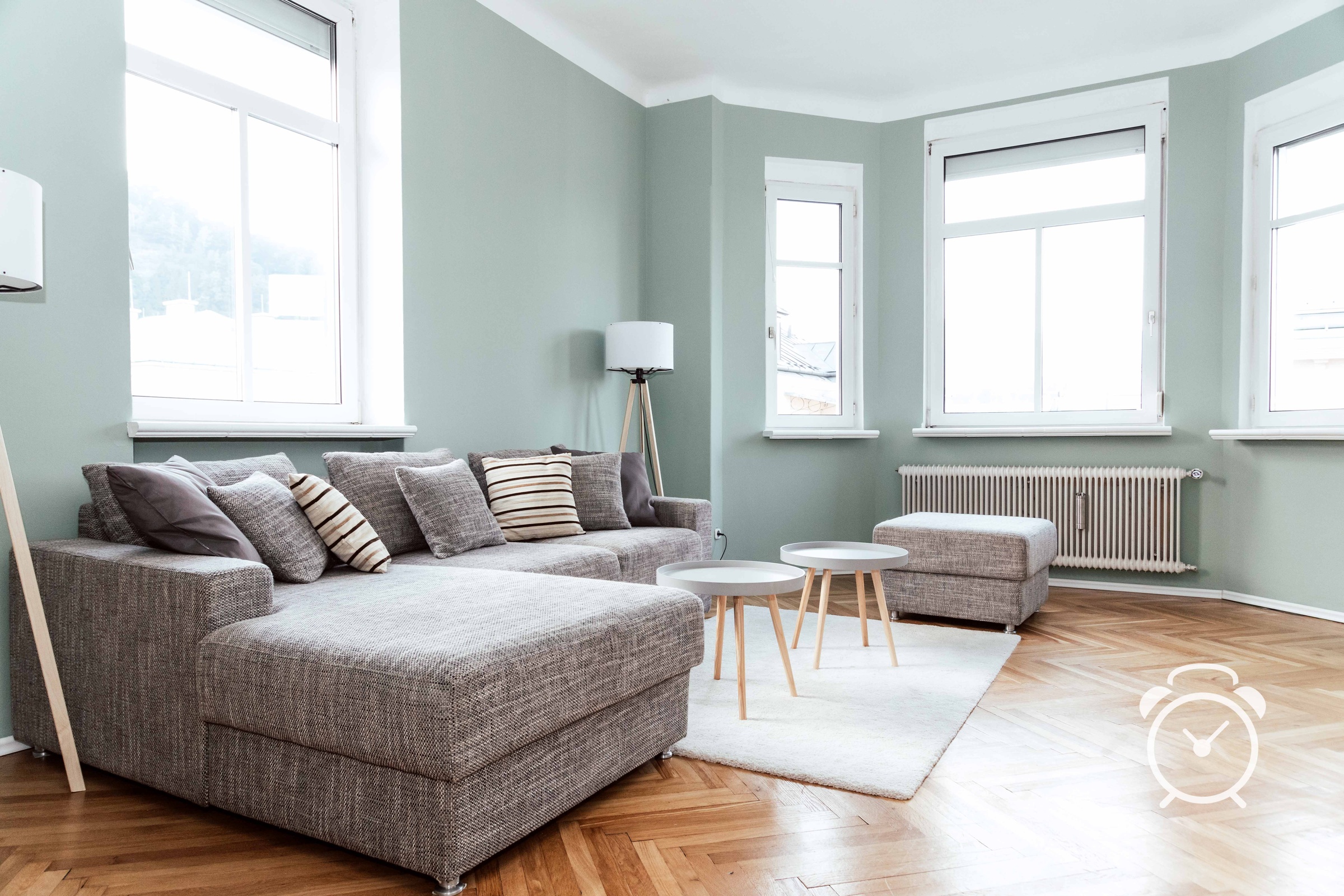 The living room 