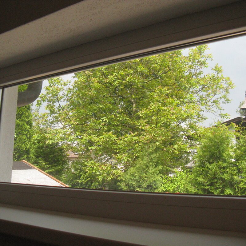 © Claudia Scherling