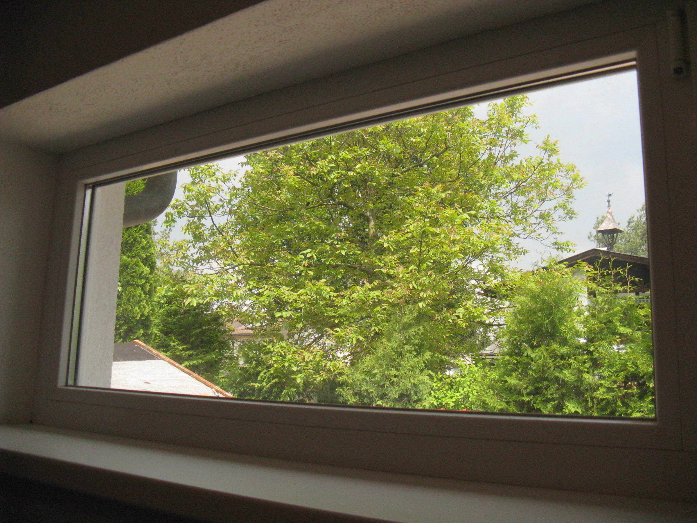 © Claudia Scherling