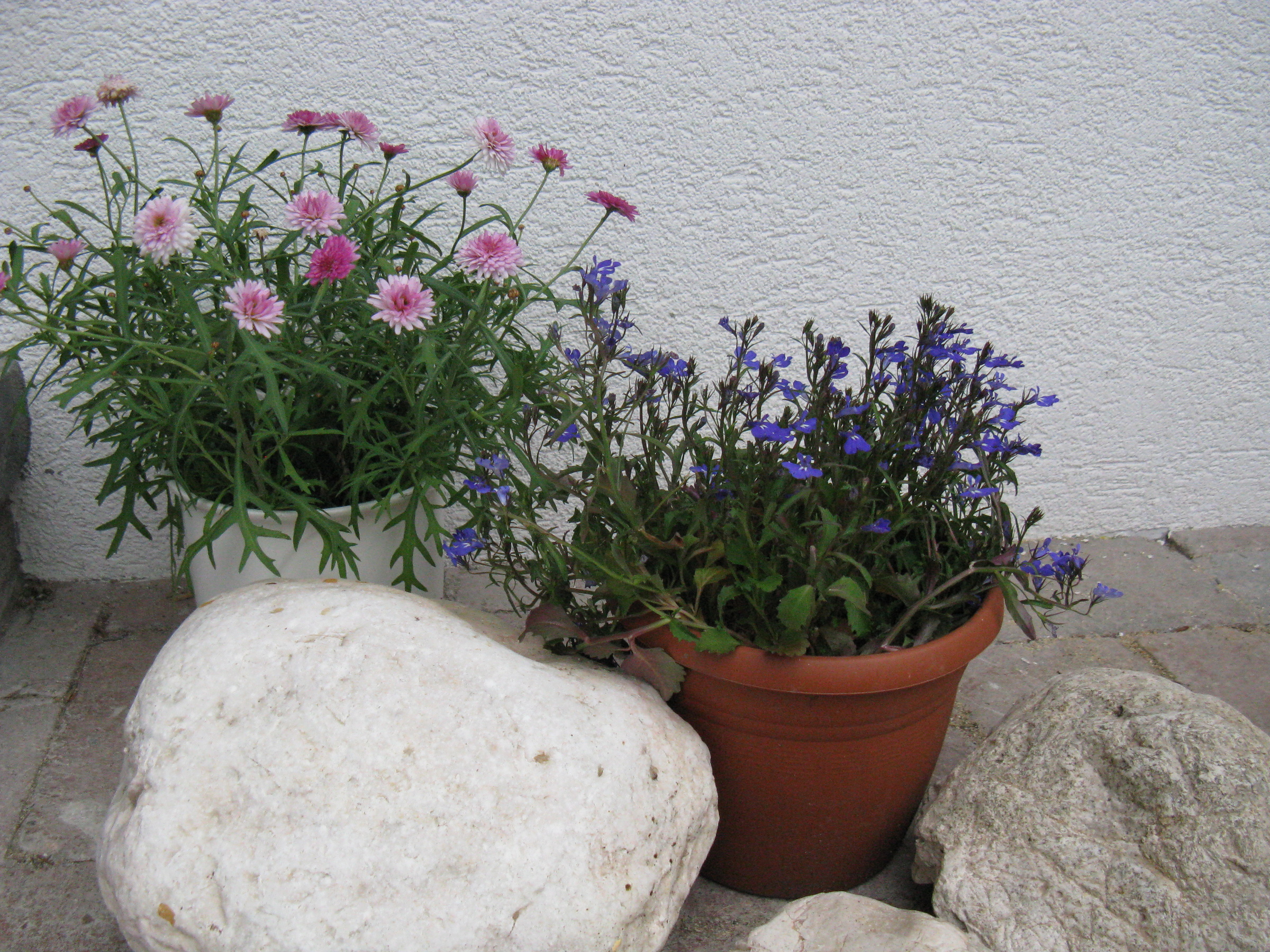 © Claudia Scherling