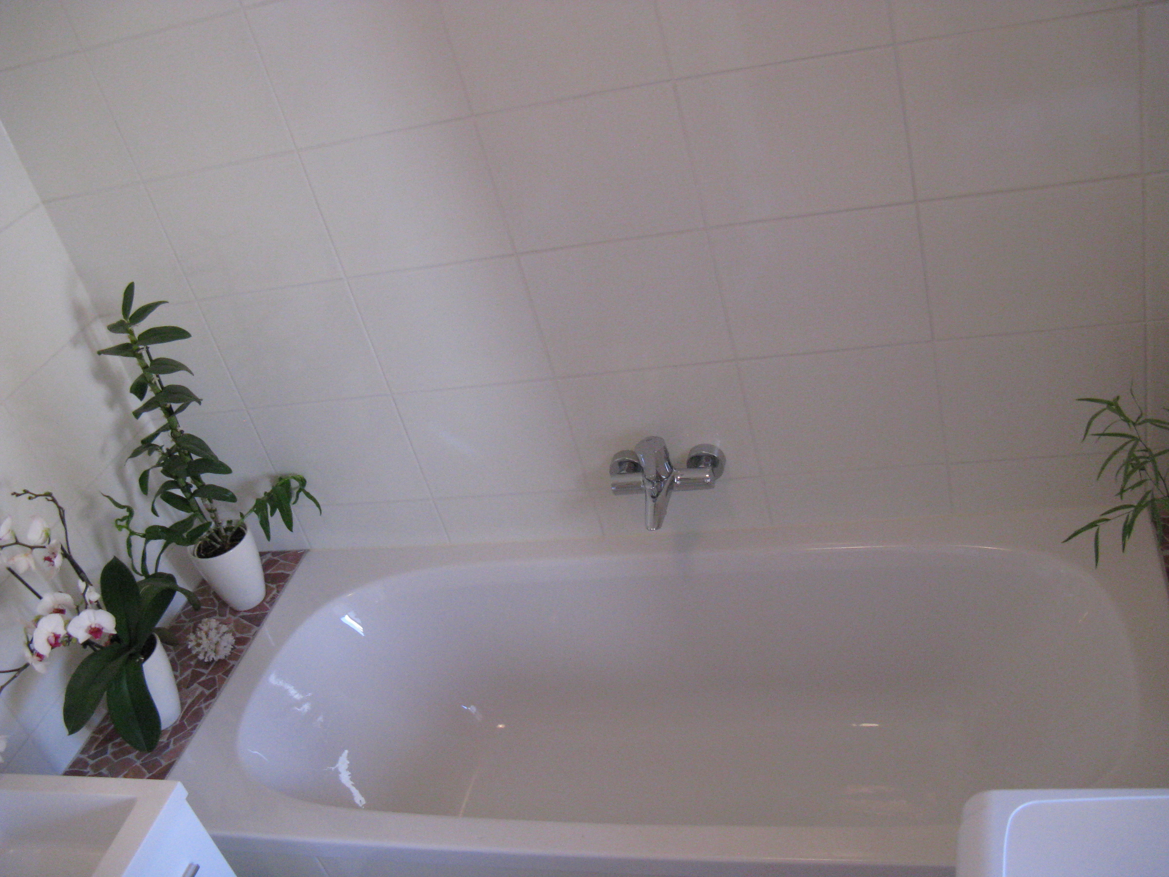 © Claudia Scherling