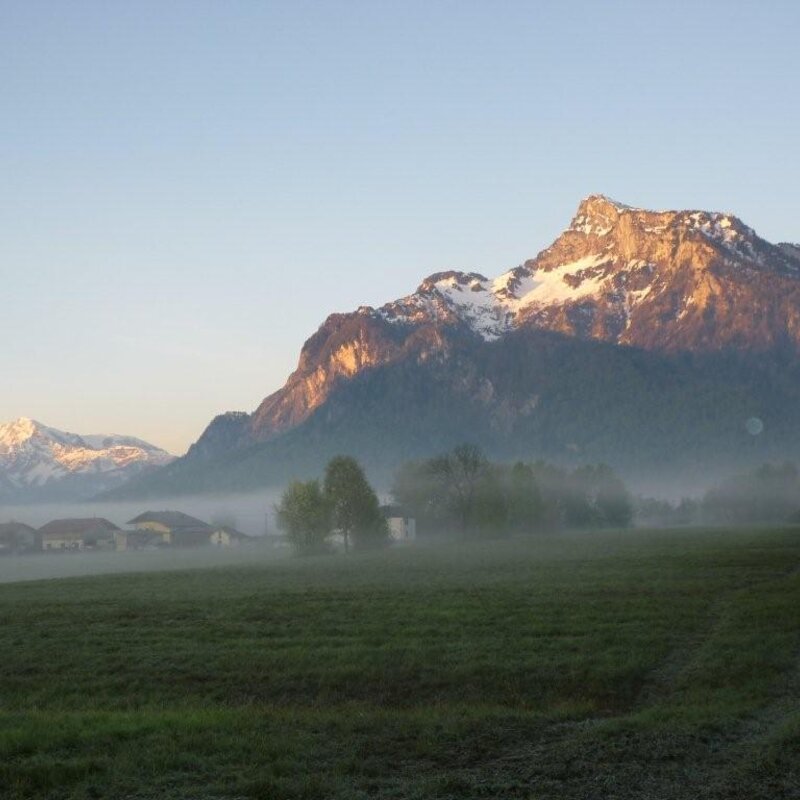 © Claudia Scherling