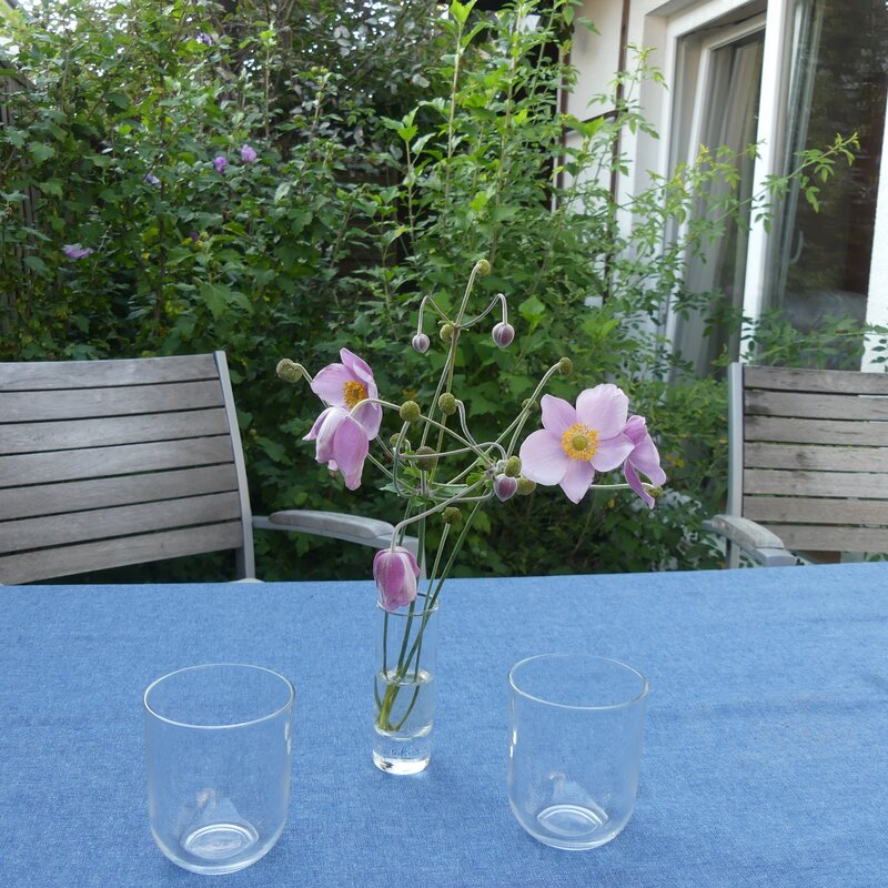 © Claudia Scherling