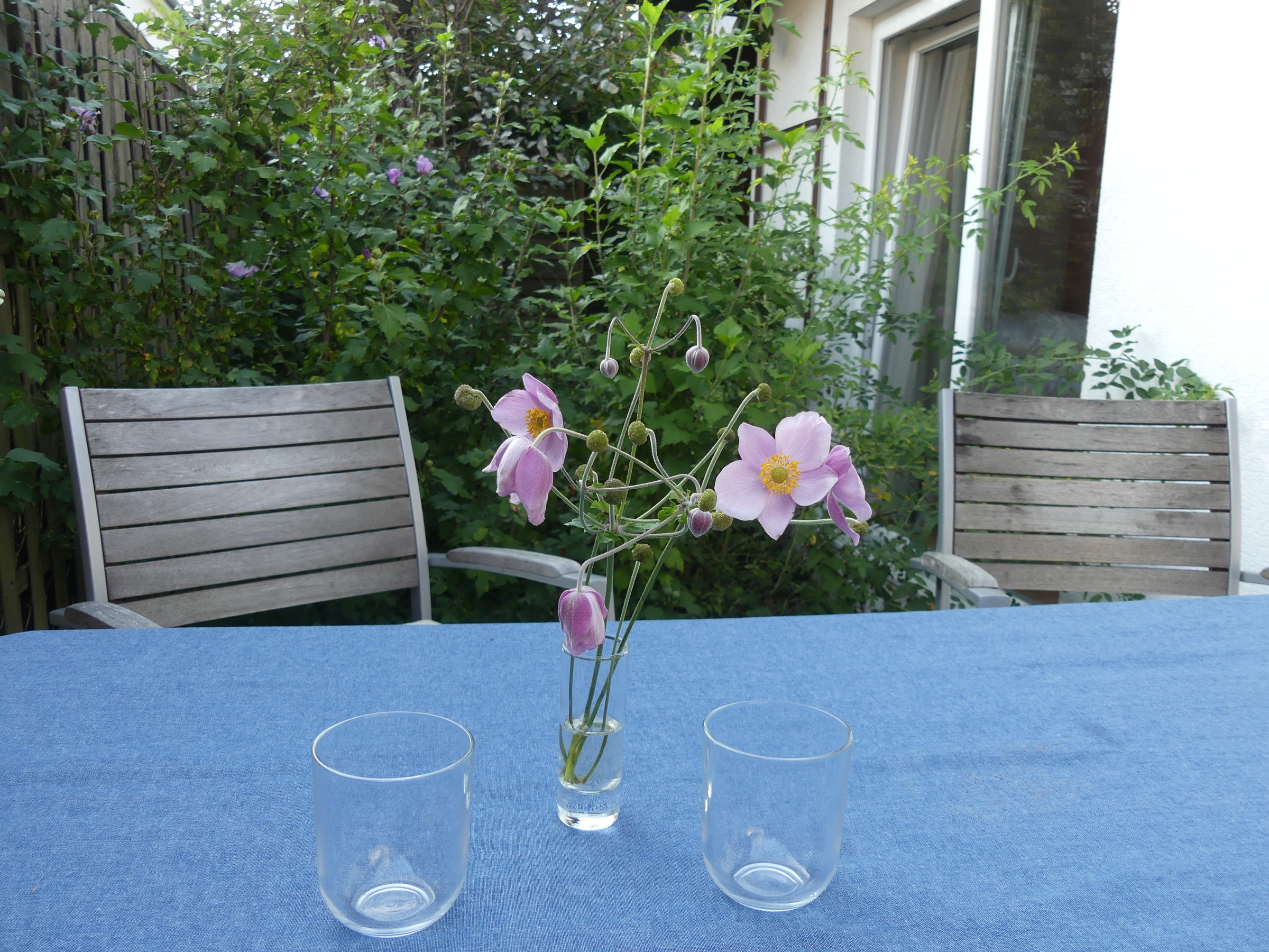 © Claudia Scherling