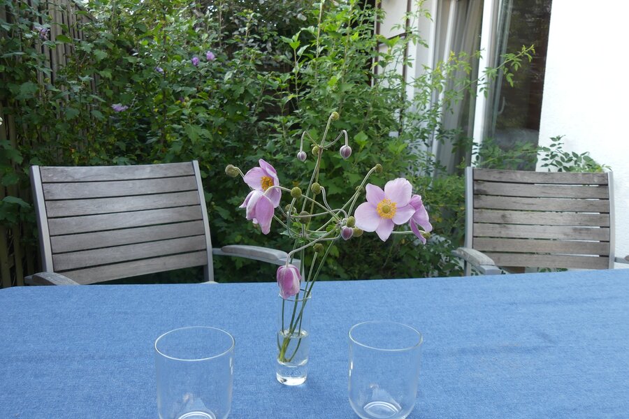 © Claudia Scherling