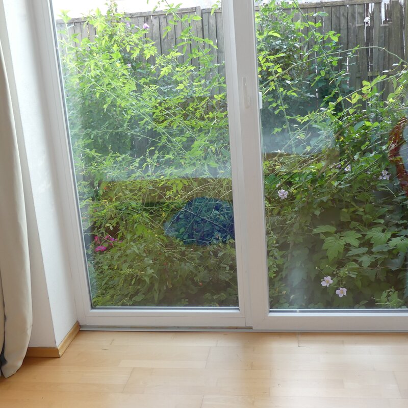 © Claudia Scherling