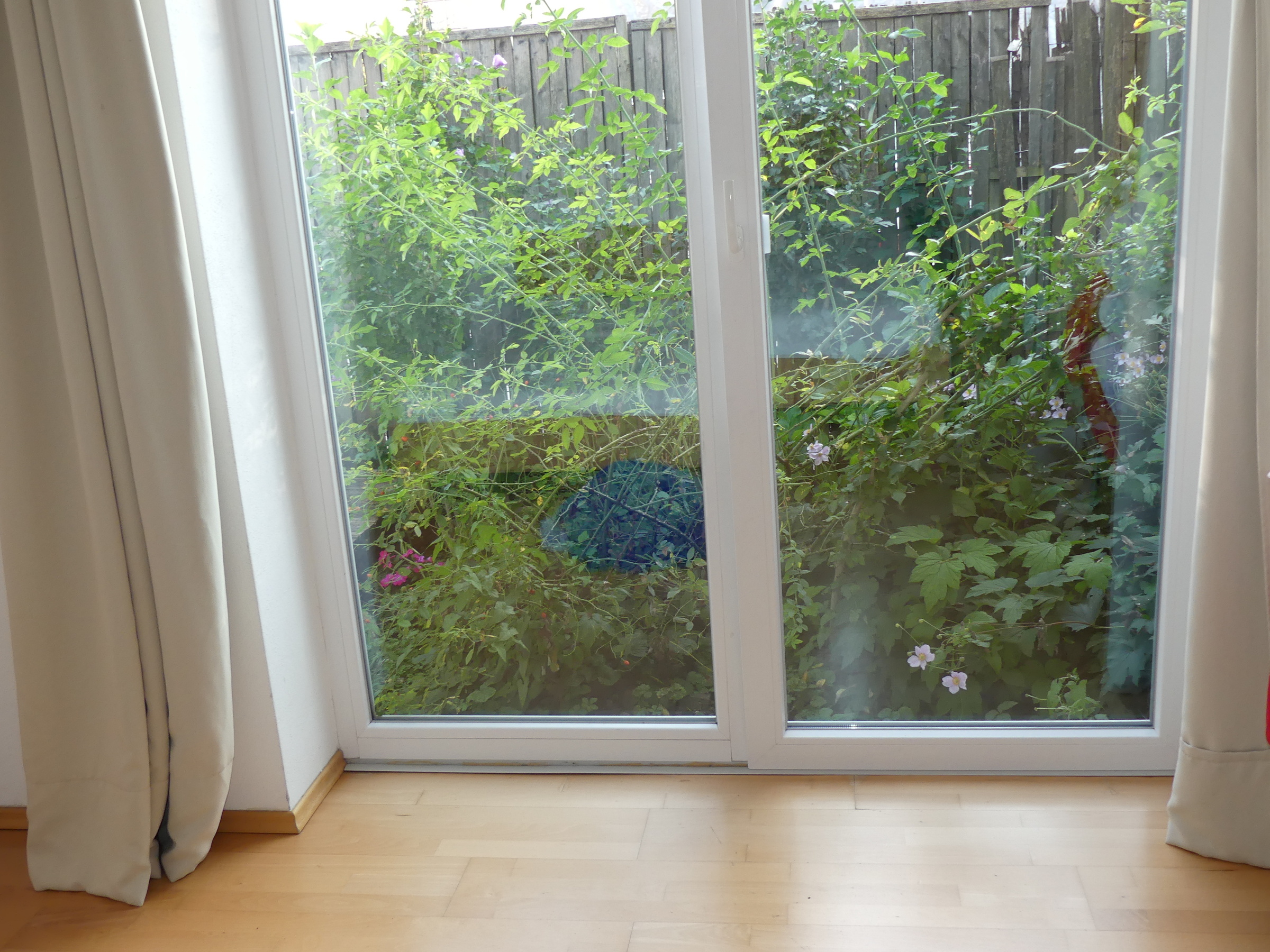 © Claudia Scherling