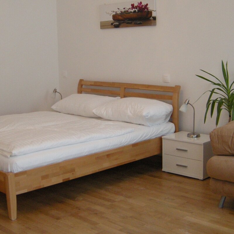 Living/bedroom