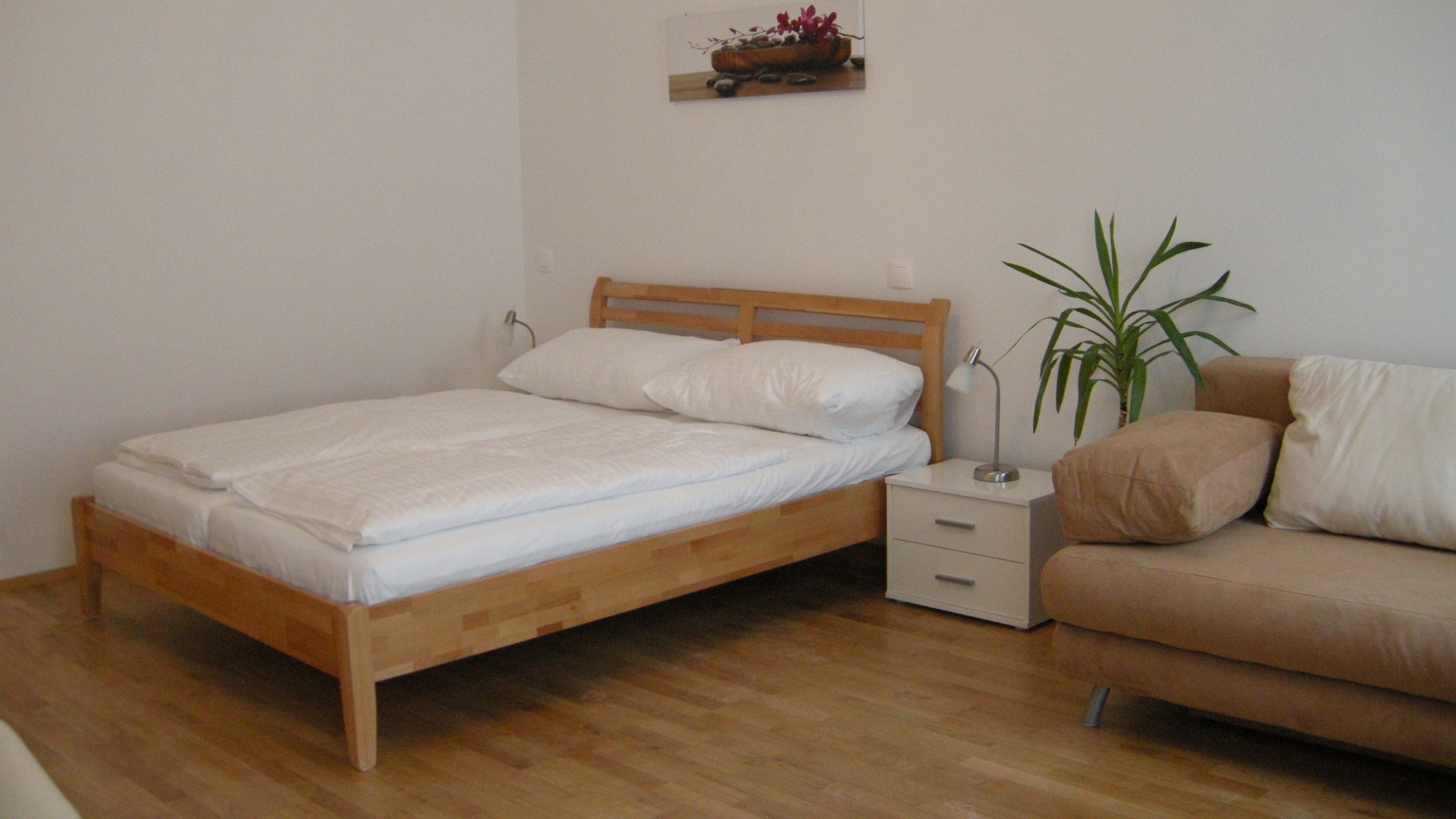 Living/bedroom
