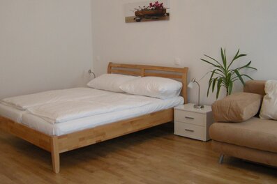 Living/bedroom